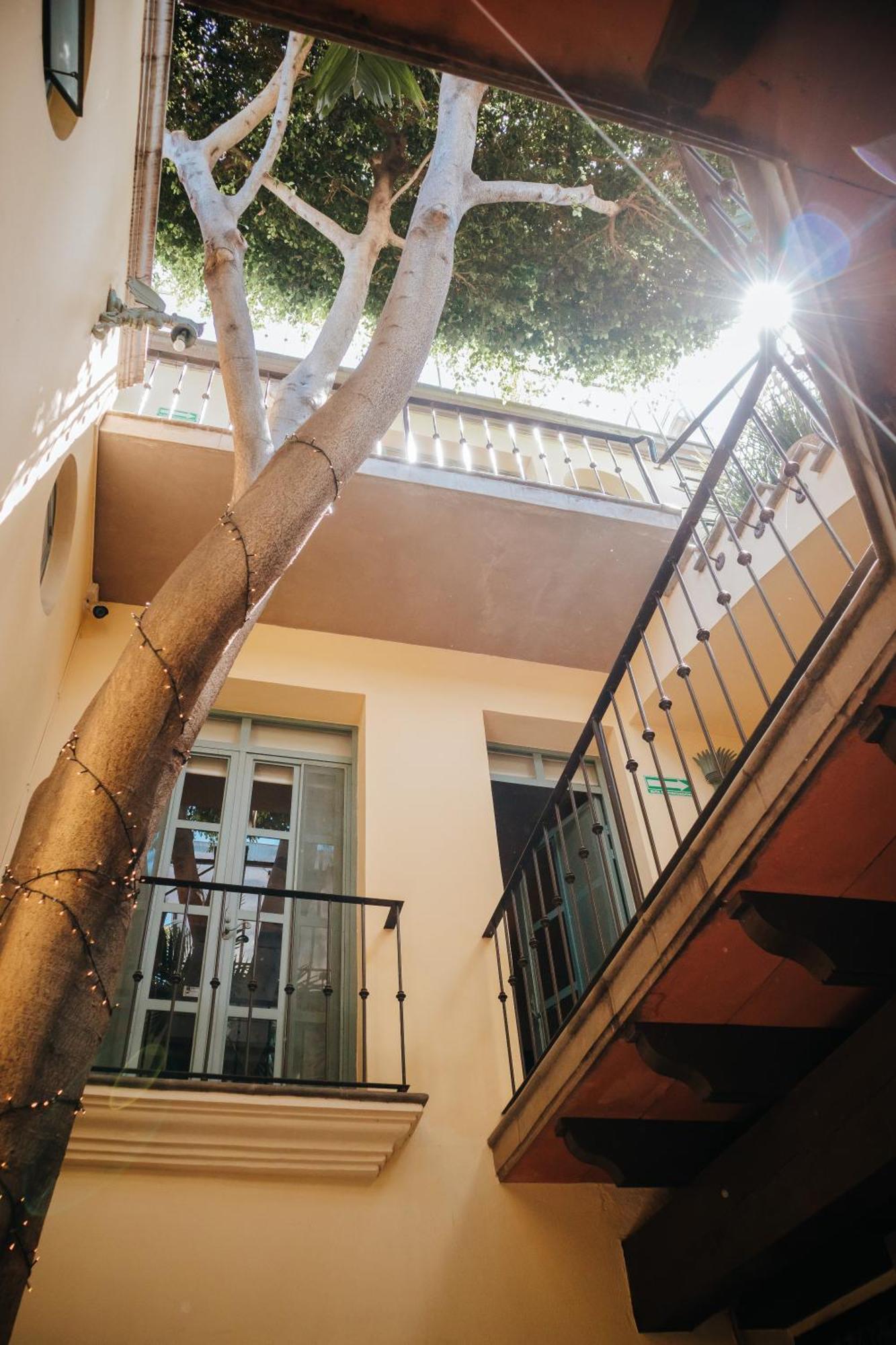مبيت وإفطار سان ميغيل دي الليندي Casa Florida المظهر الخارجي الصورة